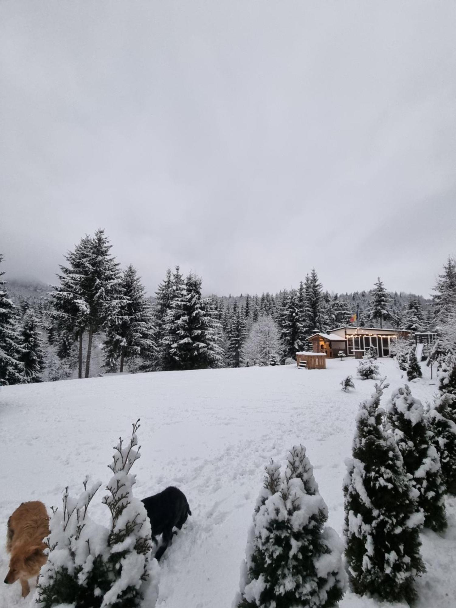 Cabana Casaru Colibiţa Buitenkant foto